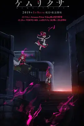 《烟草》：一场关于迷茫与救赎的黑色幽默剧，揭露底层小人物的挣扎与希望