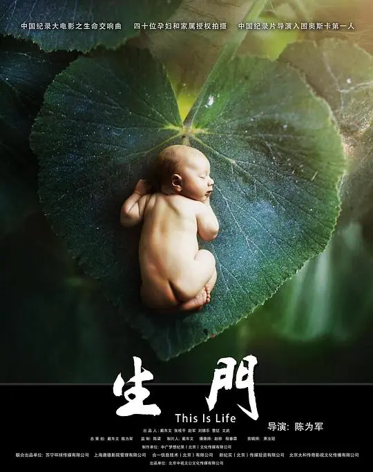 生门：真实镜头下的生命接力，母爱光辉与新生力量的震撼史诗