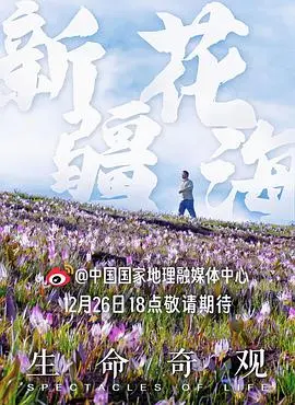 生命奇观 海报